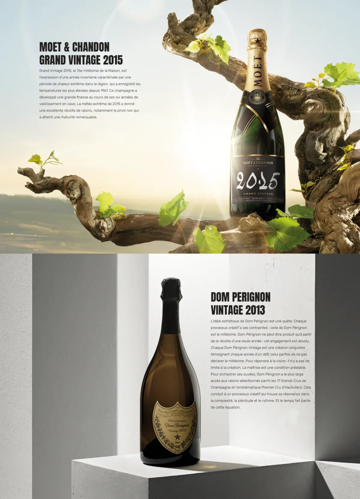 brochure-cave-mandelieu-02